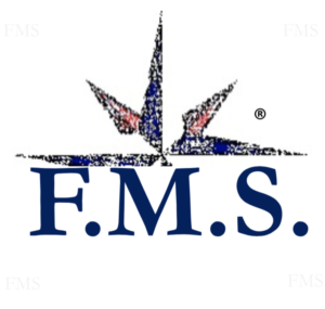 F.M.S. Formazione Manageriale e Strategica
